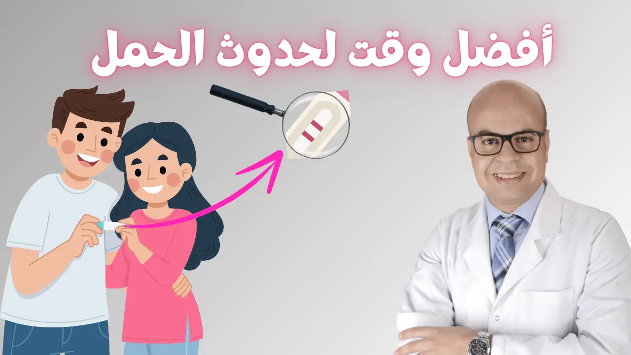 أفضل وقت لحدوث الحمل - د. أحمد كساب